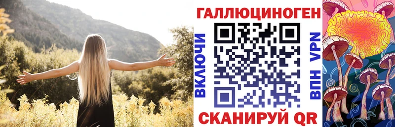 omg как войти  Орлов  Галлюциногенные грибы мицелий 