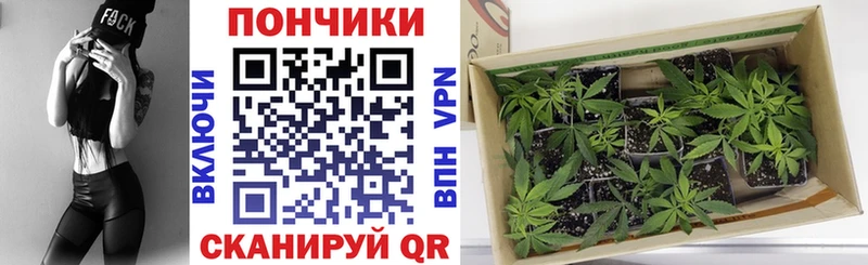наркотики  Орлов  МАРИХУАНА тримм 